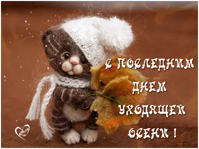гарногодня #доброгоранку #осінь #славаукраїні #скорозима | TikTok