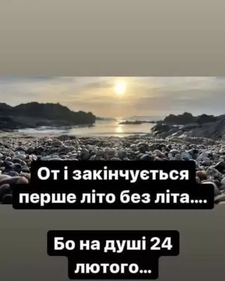 30листопада #всесвiтнiйденьтварин #привiтання | TikTok