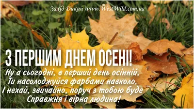 Хор «Надія» запрошує на концерт в останній день осені - Газета МИГ