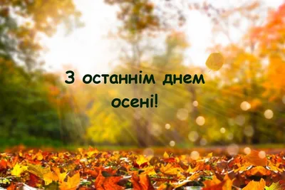 Привіт листопад! Щирі побажання доброго ранку у останній місяць цієї осені  на листівках українською мовою – Жіночий журнал Modista
