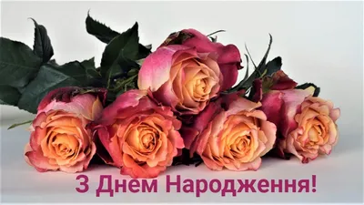 Привітання з Днем Народження з трояндами 🌹🌞🎶 музична відео-листівка з  Днем Народження українською 👍 - YouTube