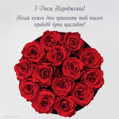 Червоні троянди до дня народження з привітанням українською мовою |  Beautiful birthday wishes, Happy birthday wishes, Happy b day