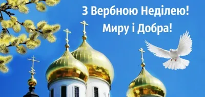 З Вербною неділею! | Ярунська громада Житомирська область, Звягельський  район