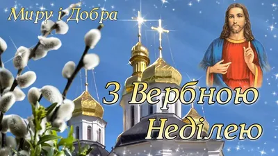 Вербна неділя: привітання в віршах та прозі, листівки — Укрaїнa