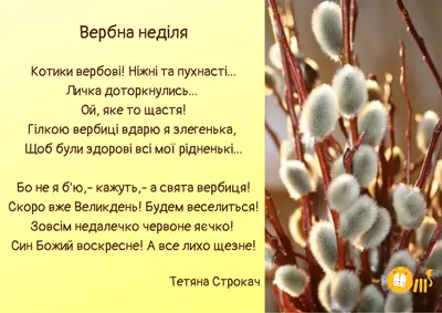 Вітаю вірян з Вербною неділею! За... - Volodymyr Groysman | Facebook