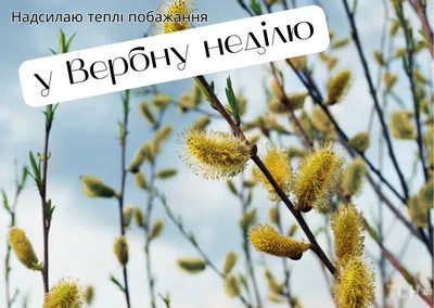 Листівки з Вербною неділею: гарні вітальні картинки і фото — Укрaїнa