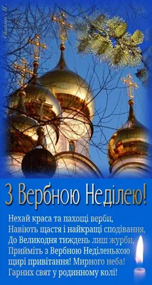 З Вербною неділею 2021: привітання у прозі і побажання своїми словами -  Радіо Незламних