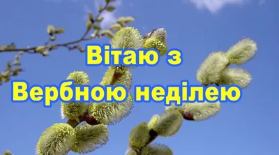 З Вербною неділею! - YouTube