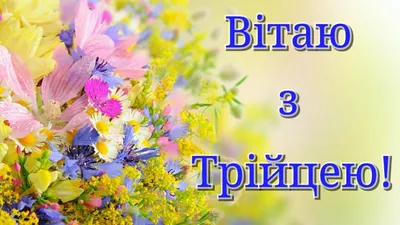 Коли Зелені свята в Україні: дата, вихідні, традиції — LVIV.MEDIA