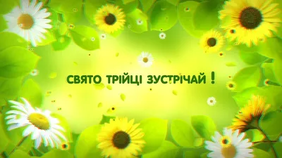 Соломія Українець - Ой, земле, радістю умийся, іде до нас Зелена Трійця! ☘  Нехай Господь нам душу гріє, і свою милість з неба посилає. Вподобай  Соломія Українець | Facebook