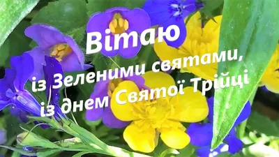 Вітаємо з Зеленими святами. | Нео-сервіс