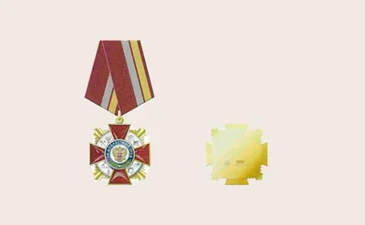 Председатель Совета отделения РИО в ЛНР Артём Рубченко награждён медалью «За  боевые заслуги» - Российское историческое общество