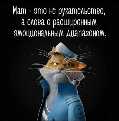 Бесплатные забавные обои на рабочий стол | Скачать шаблоны смешных обоев на  рабочий стол онлайн | Canva