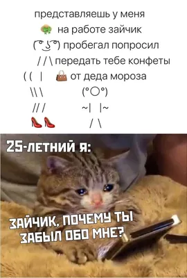 Де Дзерби: «Я уже забыл о Кайседо, мне нужны те, кто хочет играть за  «Брайтон»