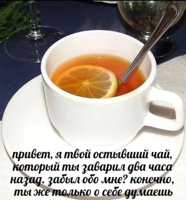 Улыбайтесь, господа, улыбайтесь! ❘ 24 картинки от 3 декабря 2019 | Екабу.ру  - развлекательный портал