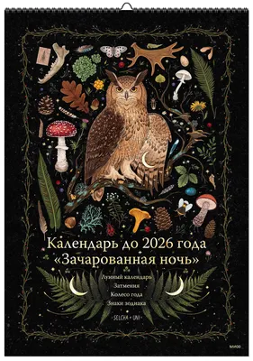 Фильм Зачарованная (США, 2007): трейлер, актеры и рецензии на кино