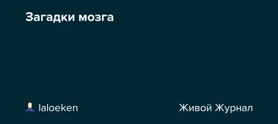 Мозг и принятие решений: загадки и открытия | Пикабу