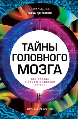 Головоломка Тайны Фигур \"Собери Н\" 24 задания, фитнес для мозга, подарок  ребенку - купить с доставкой по выгодным ценам в интернет-магазине OZON  (160502584)