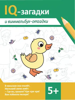 Книга Загадки и головоломки для Мальчиков - купить развивающие книги для  детей в интернет-магазинах, цены на Мегамаркет | 7257381