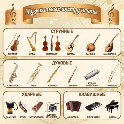 Детские музыкальные инструменты 8 в 1 ксилофон, маракас, гармошка, дудочка  купить по низким ценам в интернет-магазине Uzum (872671)