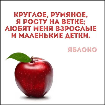 Загадки про овощи — интересные загадки про овощи для детей с ответами