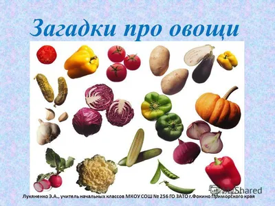 Овощи, фрукты, ягоды. Фотокнига для самых маленьких Владис 14244461 купить  в интернет-магазине Wildberries