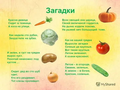 100 загадок про овощи для детей и взрослых с ответами