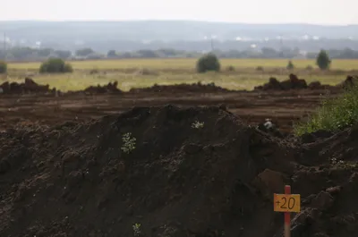 В Минэкологии подтвердили загрязнение почвы на берегу Белой в Уфе | АиФ –  Уфа | Дзен