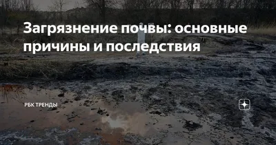 На 2,6 миллионов рублей оштрафовали администрацию Волгодонска за загрязнение  почвы