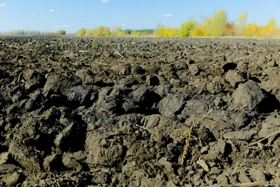 Суд оштрафовал РЖД за загрязнение почвы в Кстовском районе