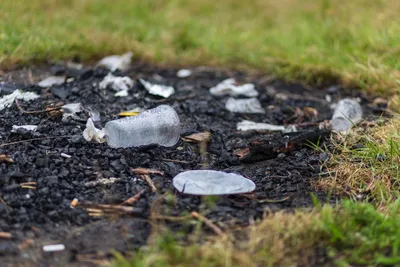 В Кривом Роге обнаружили масштабное загрязнение почв - фото | ЭкоПолитика