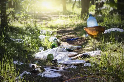 ООН приняла резолюцию о запрете в ближайшие годы загрязнения природы  пластиком: Новости ➕1, 03.03.2022