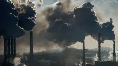 Ежегодно из-за загрязнения окружающей среды умирают 9 млн человек | Forbes  Life