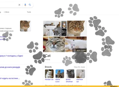 Если загуглить слово \"кот\", гугл добавил лапку, на которую можно нажимать  :-)PS. / Google :: залипалово :: интернет :: котэ (прикольные картинки с  кошками) / смешные картинки и другие приколы: комиксы, гиф