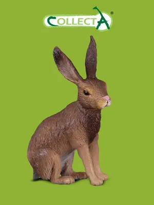 большой заяц или кролик сидит на зелёной траве Стоковое Изображение -  изображение насчитывающей меховой, зайцы: 231958399
