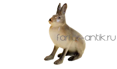 Любопытный заяц заяц в естественной …» — создано в Шедевруме