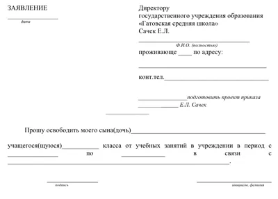 Образец заявления на увольнение по собственному желанию в 2023 году