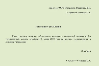 Исковое заявление на алименты в 2024 году: как правильно составить