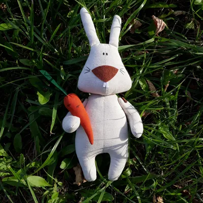 Рисунок Зайчик с морковкой №384981 - «Символ Нового года!» (21.03.2023 -  14:09)