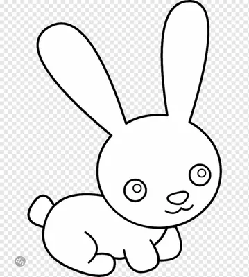 рисунок кролика сидящего в лесу, картинка зайчика для раскрашивания,  кролик, милый фон картинки и Фото для бесплатной загрузки
