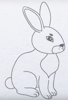 Рисунок зайчика для срисовки для детей (16 шт)