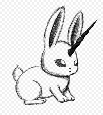 Картинки кроликов для срисовки - 78 фото