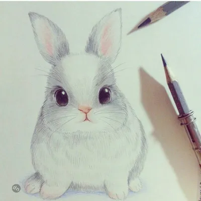 Рисунки кролика для срисовки (52 фото)