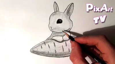 Рисунок Кролика Для Срисовки (49 Фото)
