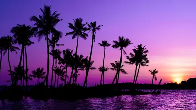 Розово-фиолетовый закат | Закаты, Винтажные пейзаж, Фиолетовый закат