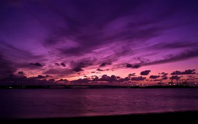 красивый фиолетовый закат с деревом на заднем плане, фиолетовый закат  картинки фон картинки и Фото для бесплатной загрузки