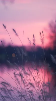 Облачно фиолетовый и голубой закат Стоковое Фото - изображение  насчитывающей света, красно: 189382898