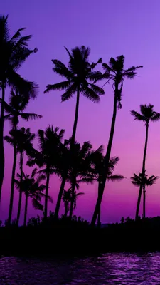 Скачать обои Фиолетовый закат на рабочий стол из раздела картинок Закат  солнца