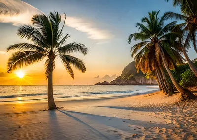 закат на острове песчаный пляж деревья природа фон обои, закат солнца,  пляж, деревья фон картинки и Фото для бесплатной загрузки