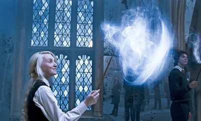 Заклинания Гарри Поттера: гримуар для начинающих магов | Миры | Мир  фантастики и фэнтези